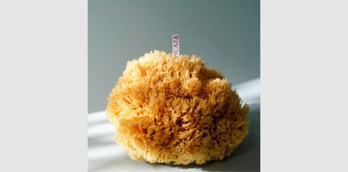 17cm extra large - 14-17cm, natural