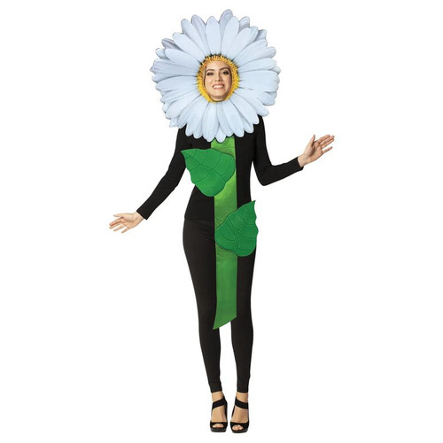 Daisy flower adult - daisy,