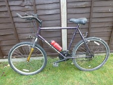 Raleigh Activator  Bike