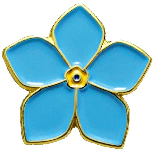 Blue forget not pin badge - not,
