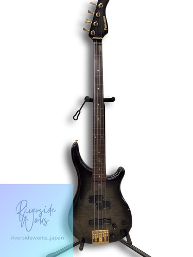 Fernandes electric bass - fernandes,