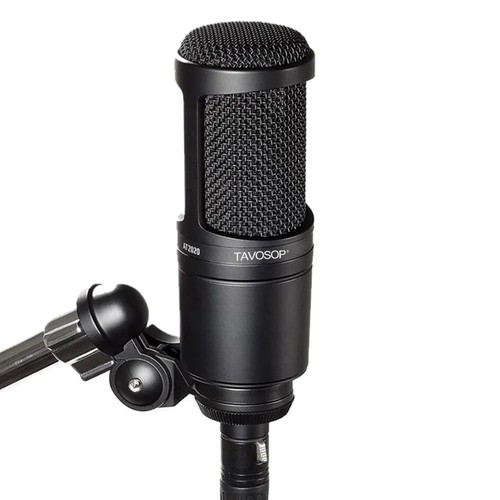 2020 cardioid condenser - cardioid,
