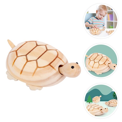 Home animal turtle - animal,