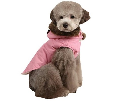 Puppia luxury range - luxury, cody