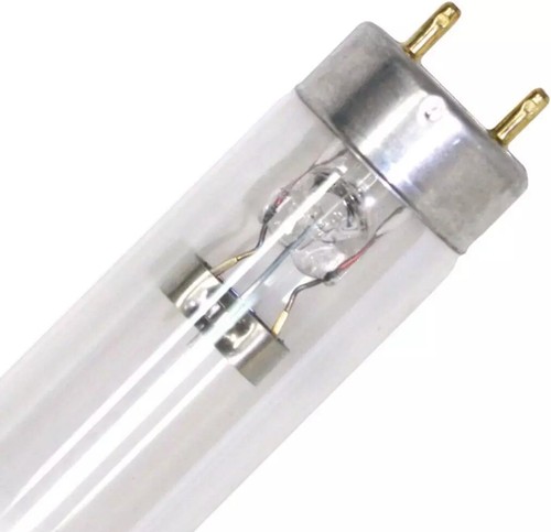 Genuine tmc bulb - genuine,