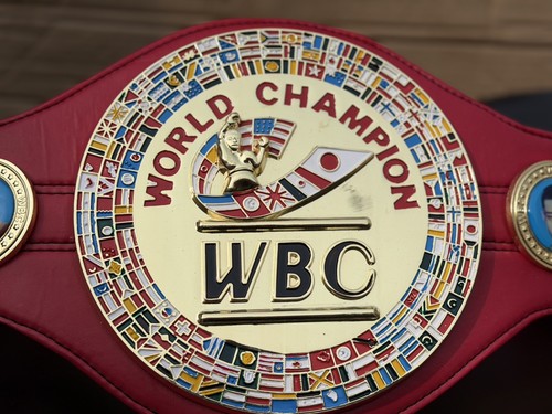 Wbc world boxing champion - wbc,