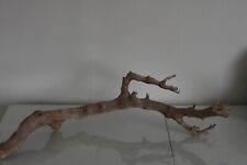 Vivarium, Exo Terra Forest Branch Large Approx 61 x 30 x 17 cms A Reptile Tree