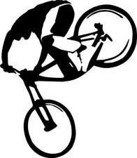 DH downhill freeride MTB