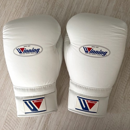 Winning 600 boxing - boxing, gloves