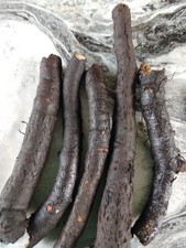Comfrey Fresh Roots Organic X