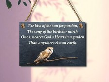 The Kiss Of The Sun For Pardon