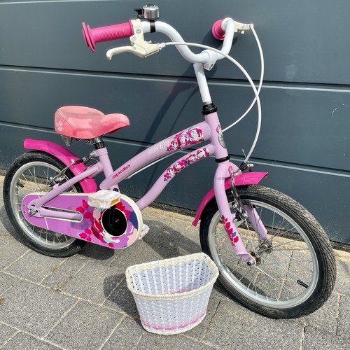 Apollo wild rose - apollo, 16”