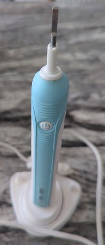 Braun oral professional - oral, b
