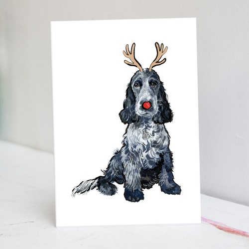 Blue roan cocker spaniel - blue,