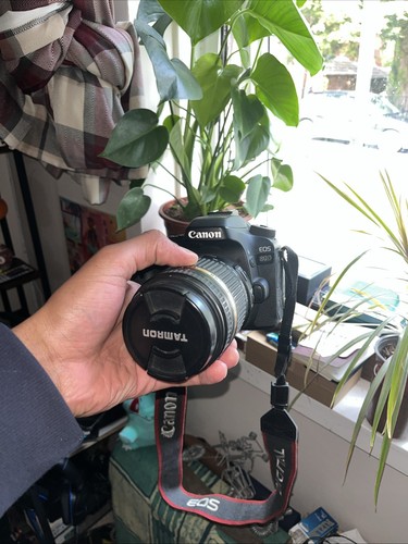 Canon 80d dslr camera tamron - 80d,