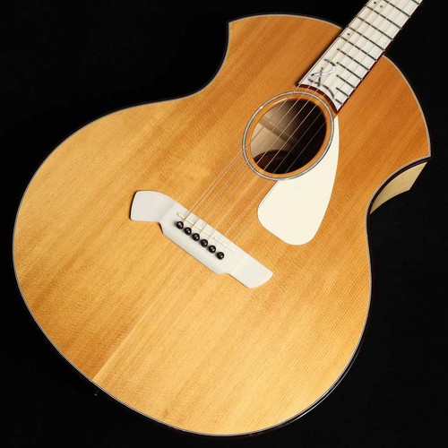 Parker pa24 used acoustic - parker,