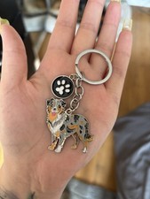 Australian Shepherd Dog