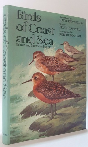 Birds coast and sea britain - birds,