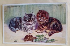Mabel Gear Cat Postcard, Grey