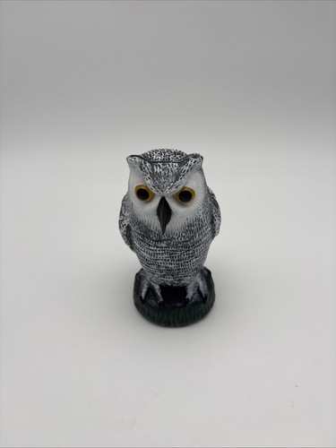 Owl garden bird - garden, scarer
