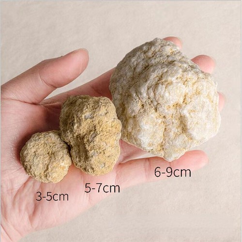 2pcs unopened natural - unopened,