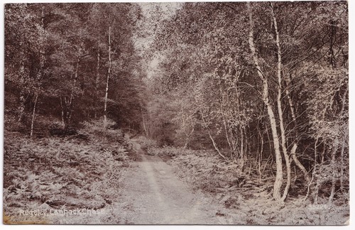 Rugeley cannock chase staffs - rugeley,