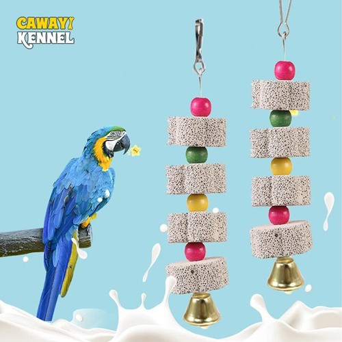 Bird chewing toy parrot - bird,