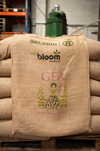 One heavy honduras - heavy,