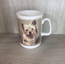 Staffordshire ashley mug - staffordshire,