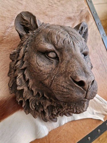 Concrete lioness garden - concrete,