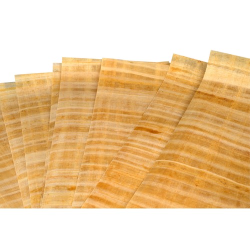 Major brushes papyrus - papyrus, paper