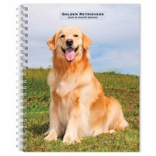 Golden Retrievers A5 Diary