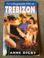 The Unforgettable Fifth at Trebizon by Anne Digby