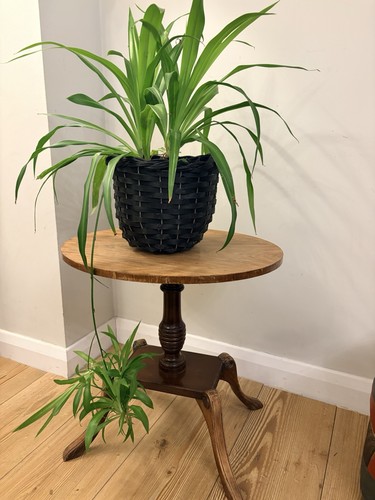Vintage oval wooden pedestal - vintage,