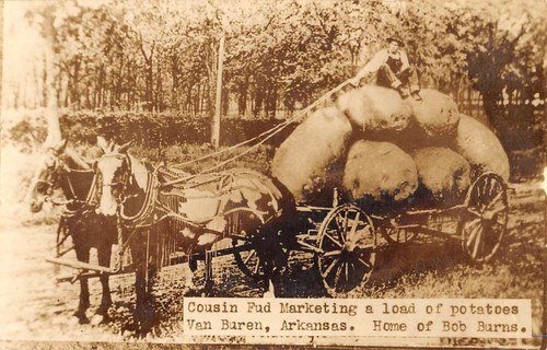 Van buren arkansas cousin - cousin, fud