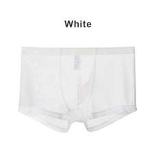 Men Mesh See Through Sexy