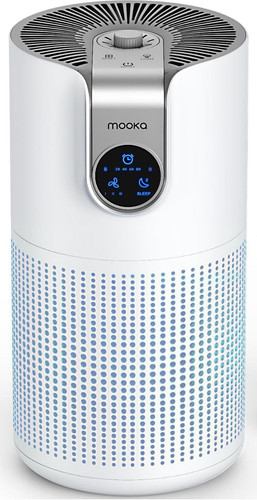 Air purifiers for - for, large
