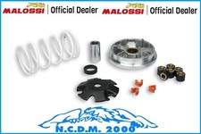 Malossi Multivar Variator