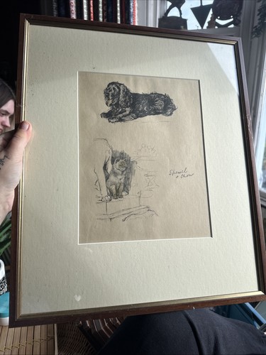 Cecil aldin framed - framed, print