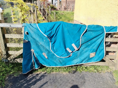 Whitaker 50g turnout rug - rug, with