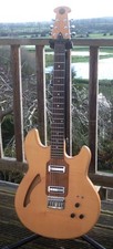 Electric semi acoustic guitar