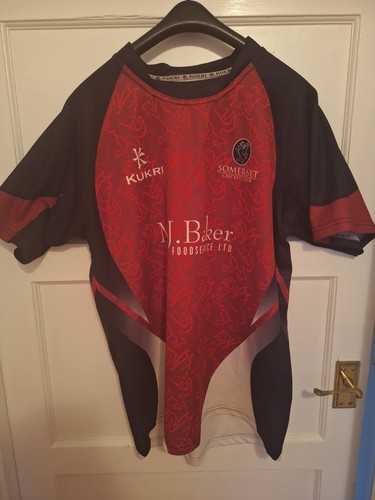 Somerset cricket shirt 2013