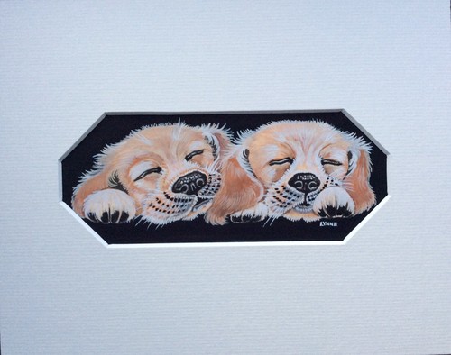 Golden labrador retriever - golden,