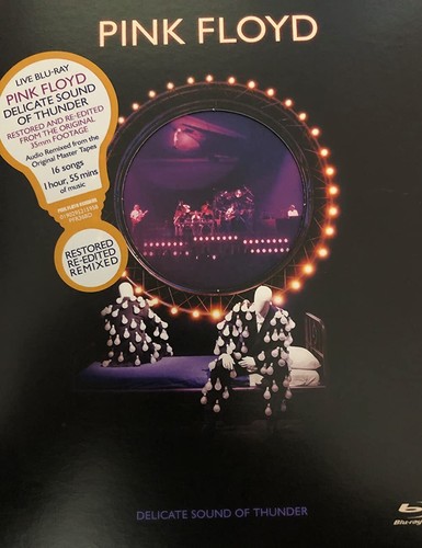 Pink floyd delicate - sound, of