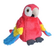 NEW RED MACAW PARROT WILD