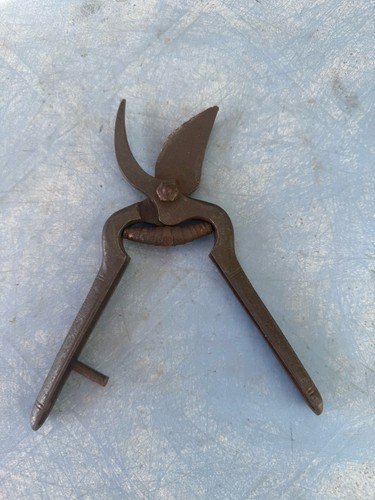 Vintage secateurs garden - vintage,