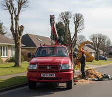 TREE SURGEON 'SAWS' VAN REG