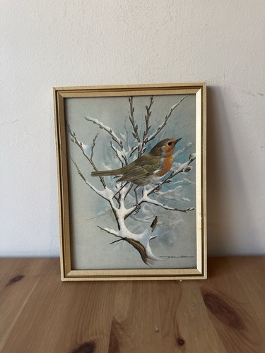 Vintage framed robin print - robin, by