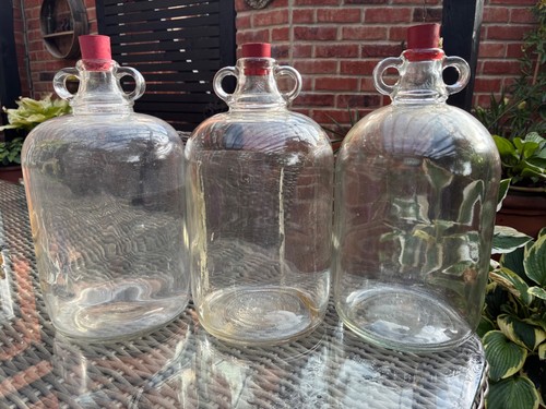 Demijohn bottles clear - demijohn, x