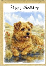 Norfolk Terrier Dog (4"x 6")